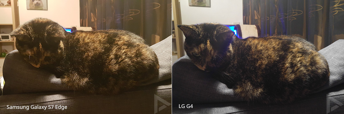 Samsung Galaxy S7 Edge - LG G4 camera