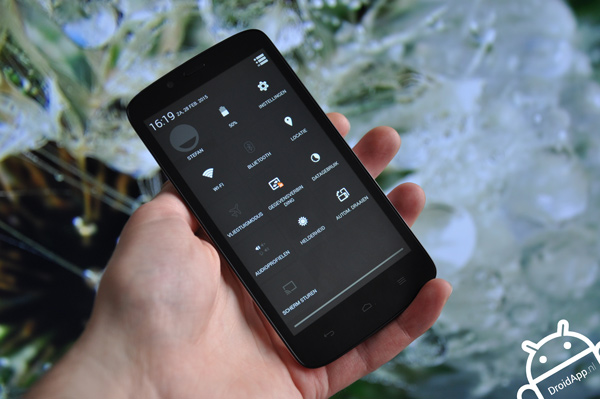 Honor Holly review