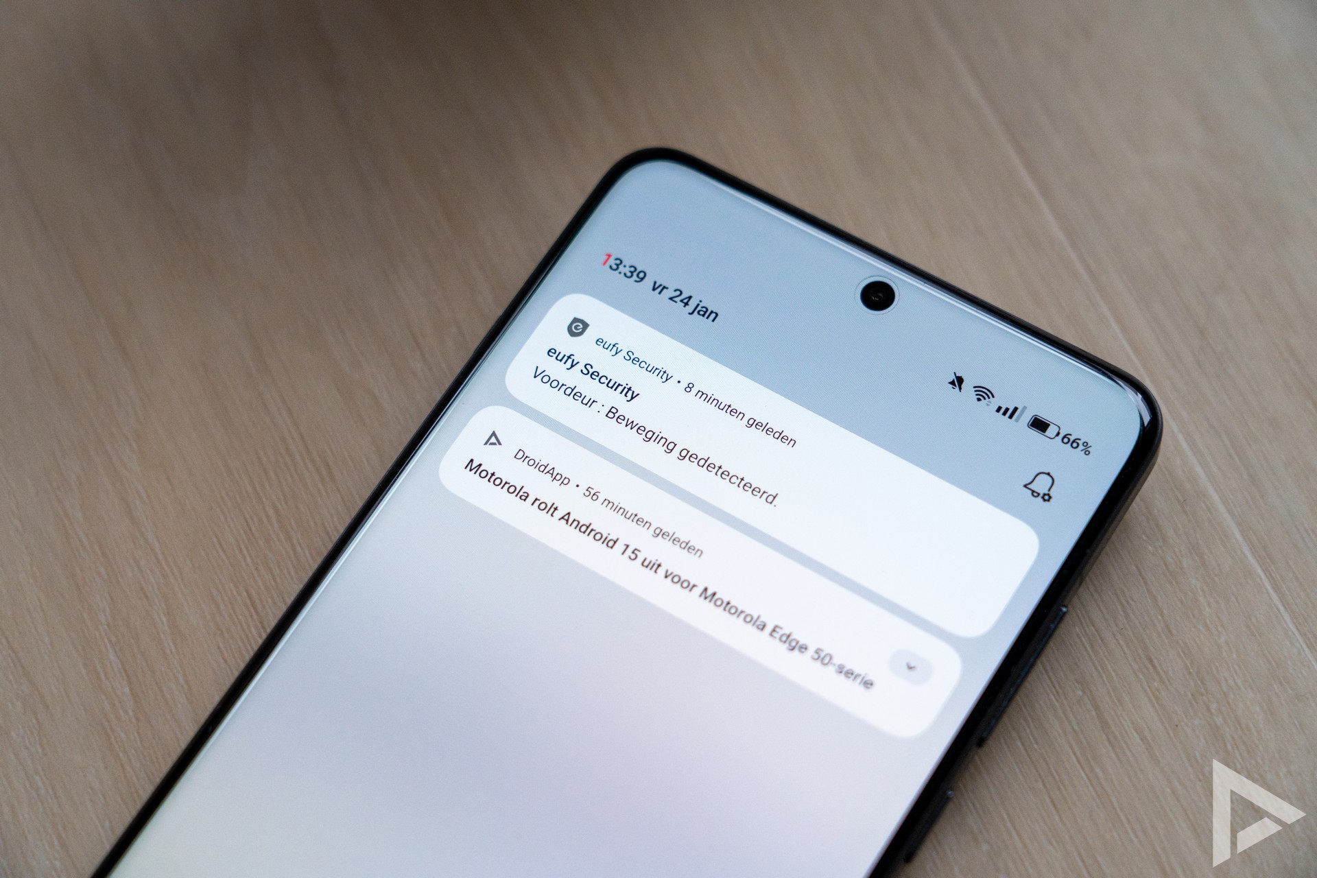 OnePlus 13 notificaties