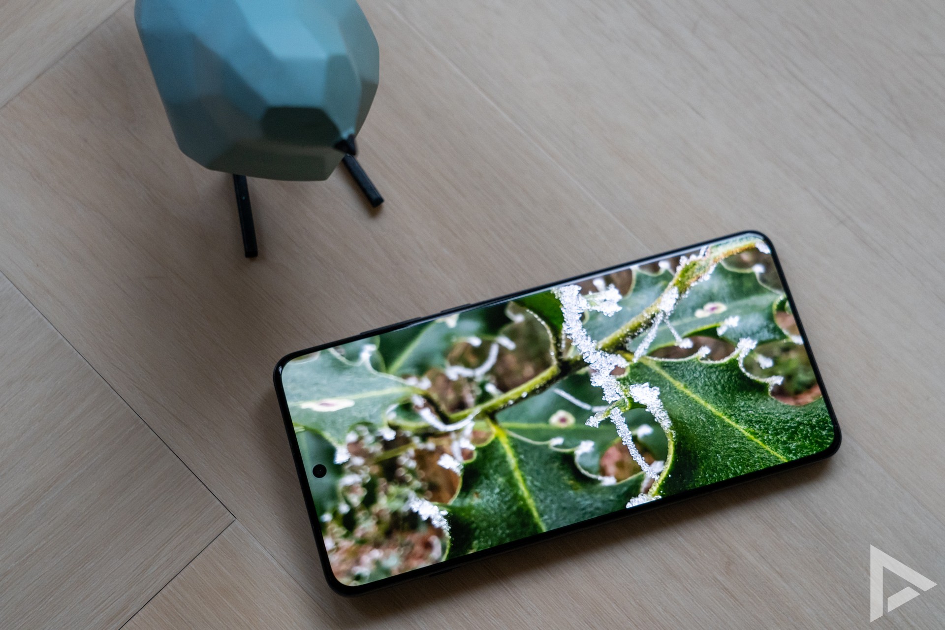 OnePlus 13 Display
