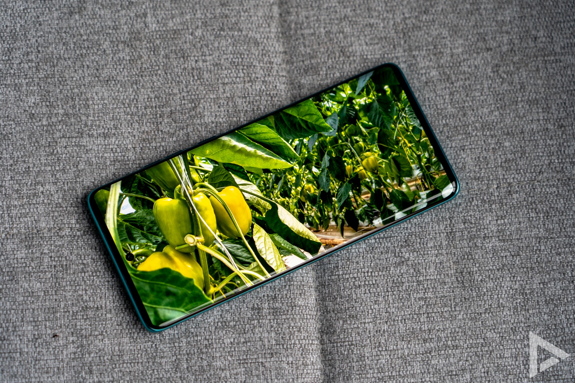Motorola Edge 60 Fusion display