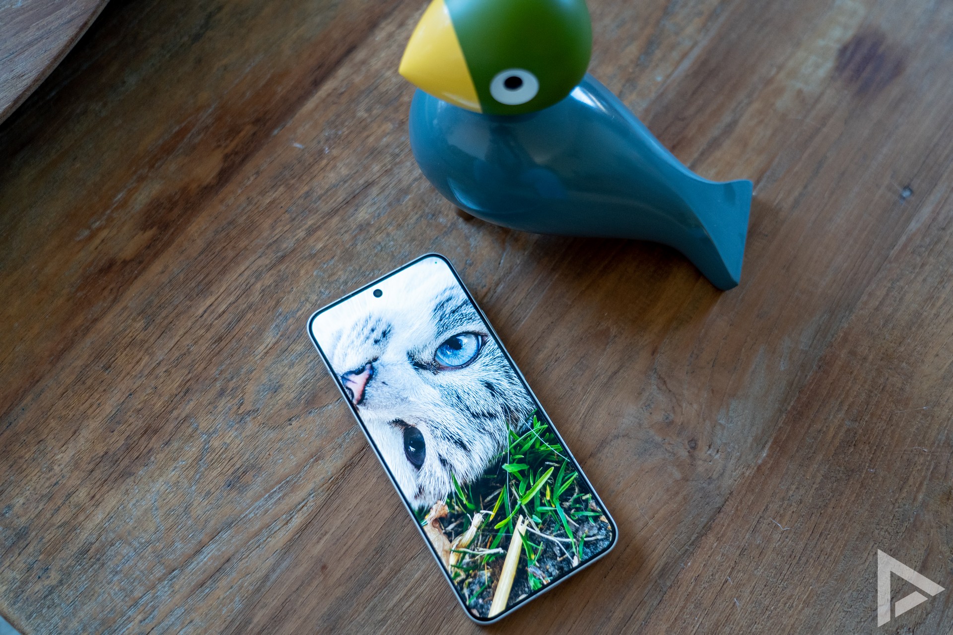 Xiaomi 15 display