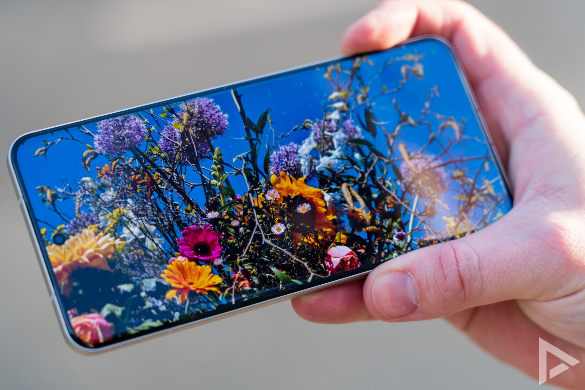Xiaomi 15 Ultra display