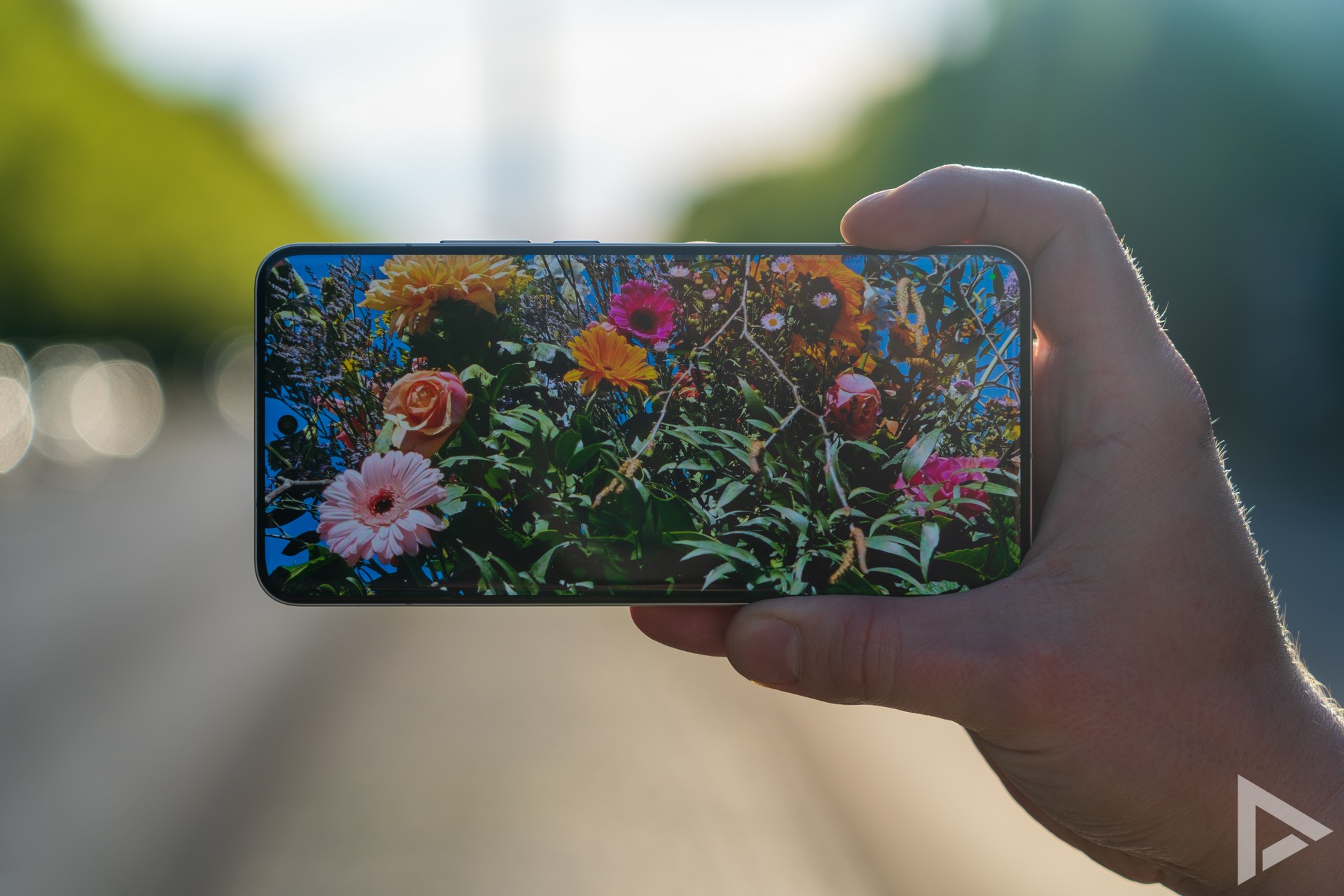 Xiaomi 15 Ultra display