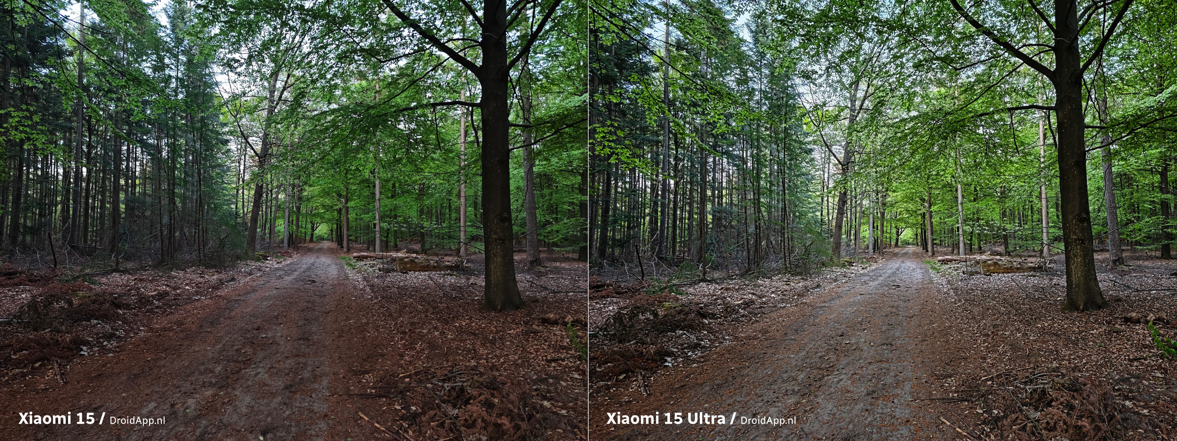 Vergelijking Xiaomi 15 - 15 Ultra bos