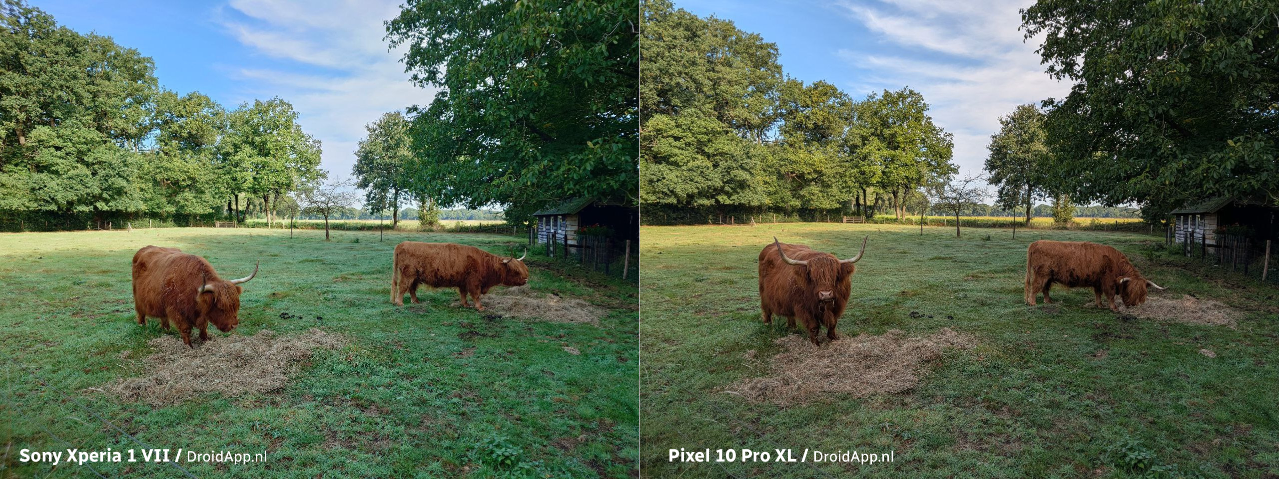Cameravergelijking Sony Xperia 1 VII - Google Pixel 10 Pro XL