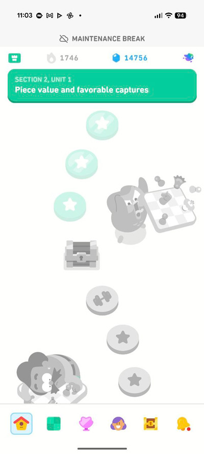 Duolingo storing
