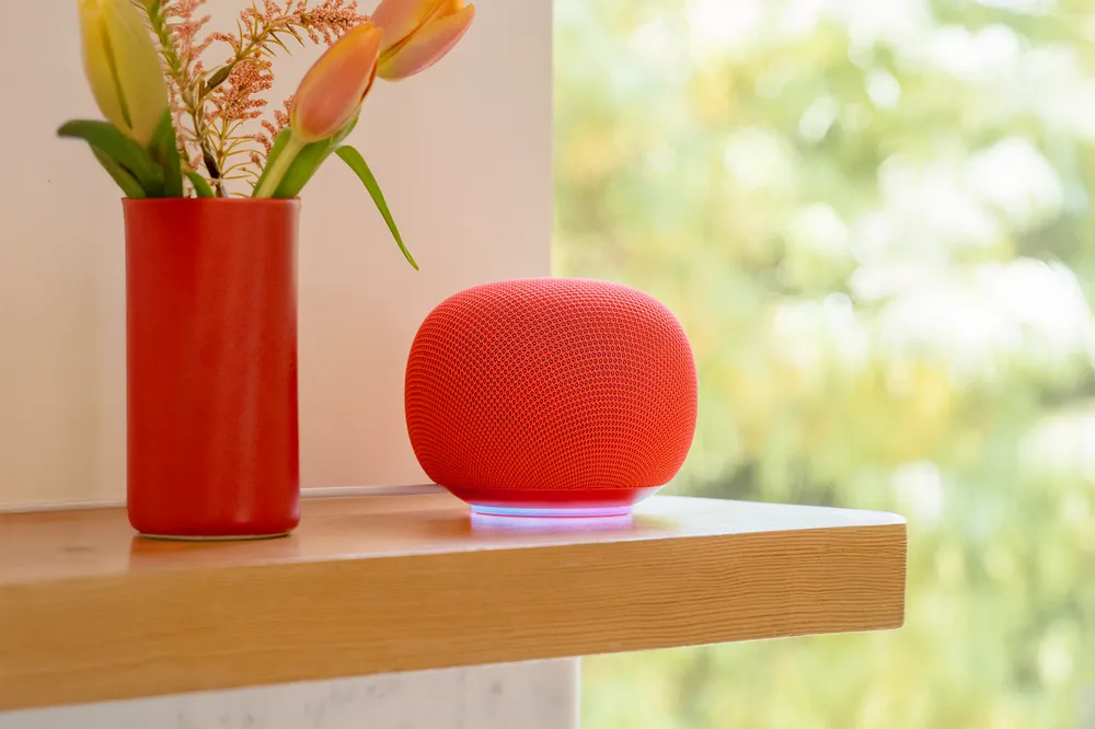 Google Home 2025