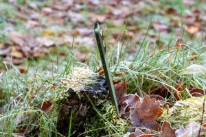 Motorola Edge 70 design