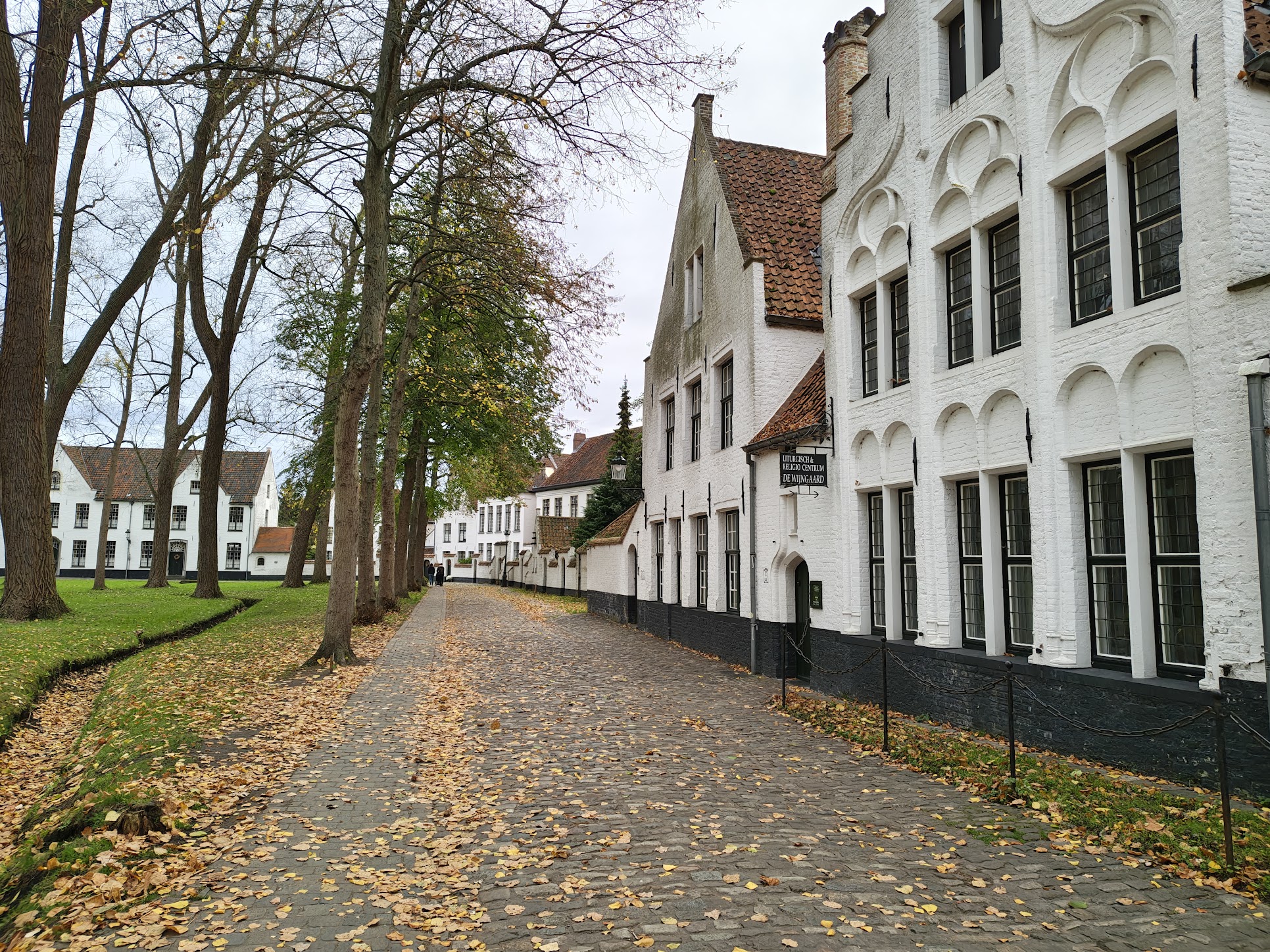 Motorola Edge 70 foto sample