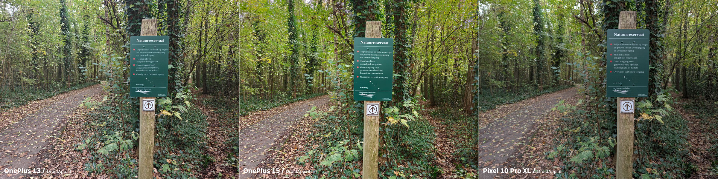 OnePlus 13 - OnePlus 15 - Pixel 10 Pro XL vergelijking