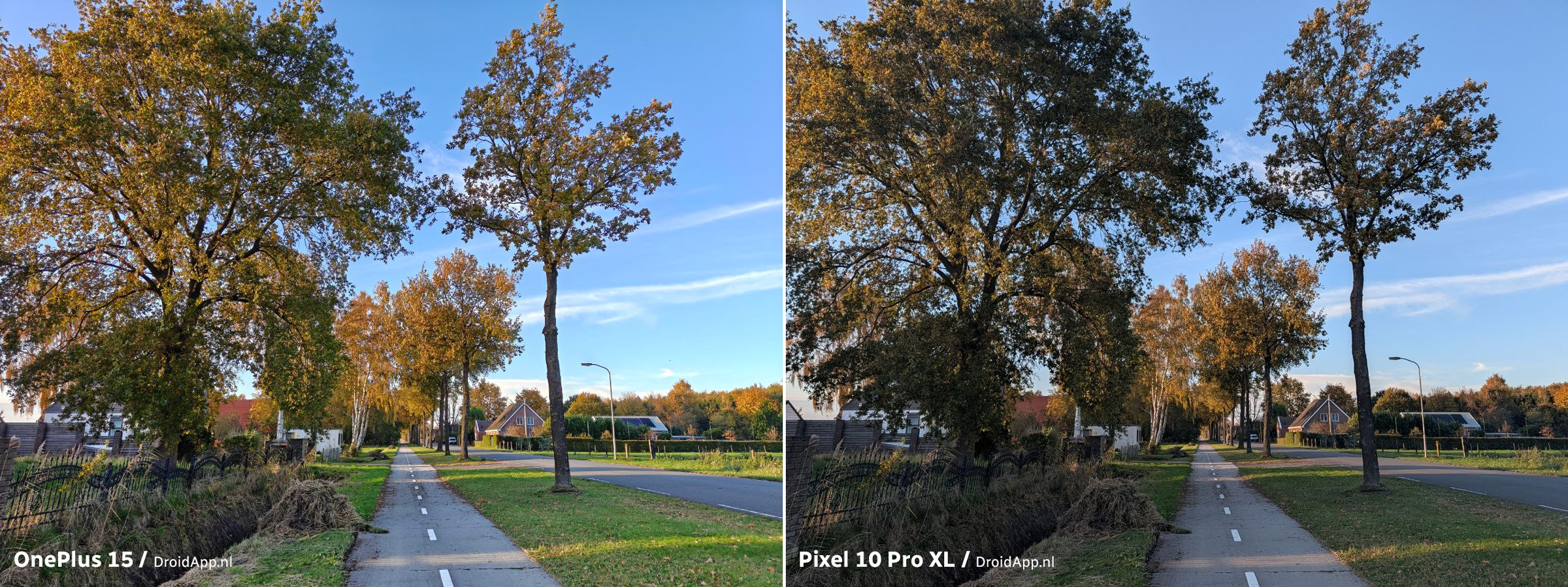 OnePlus 15 - Pixel 10 Pro XL vergelijking