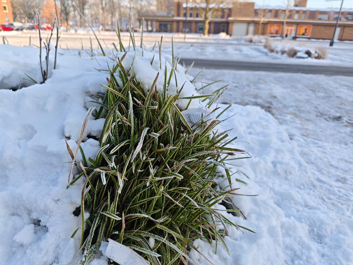 Poco F8 Ultra camera sample