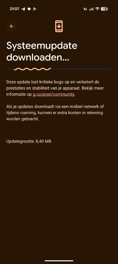 Google Pixel 10 Pro XL februari update
