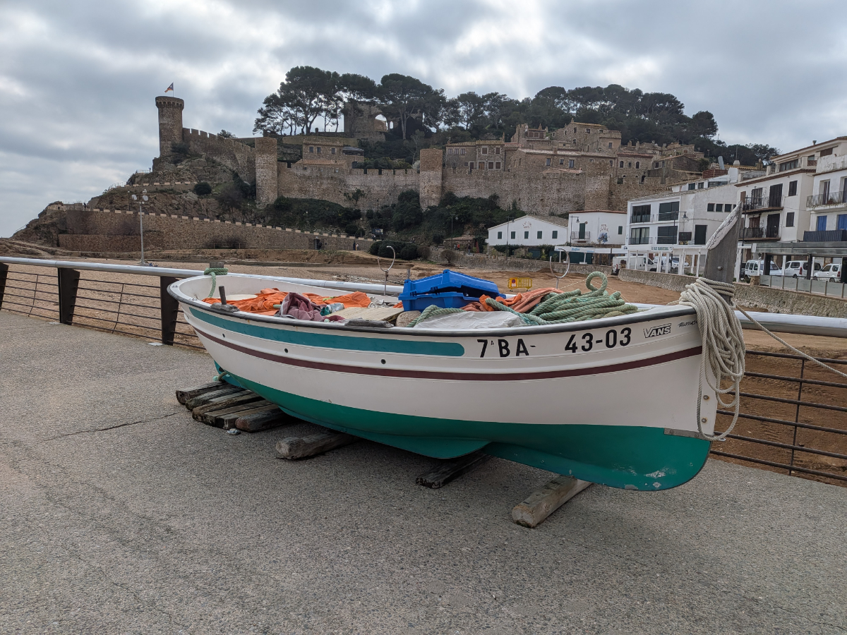 Google Pixel 10a foto