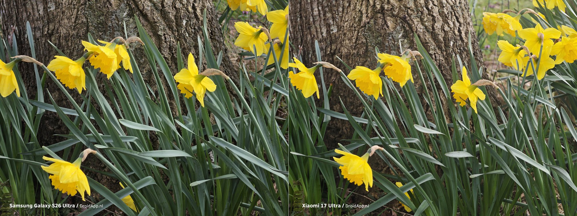 Samsung Galaxy S26 Ultra - Xiaomi 17 Ultra vergelijking 2x zoom