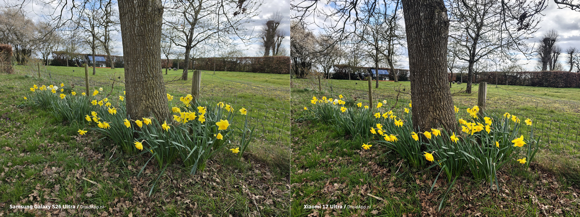 Samsung Galaxy S26 Ultra - Xiaomi 17 Ultra vergelijking 3