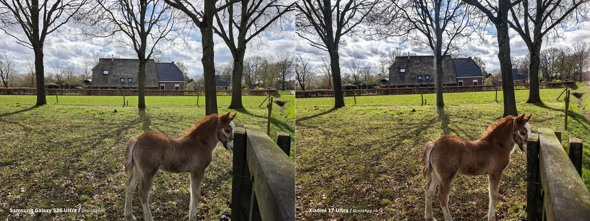 Samsung Galaxy S26 Ultra - Xiaomi 17 Ultra vergelijking