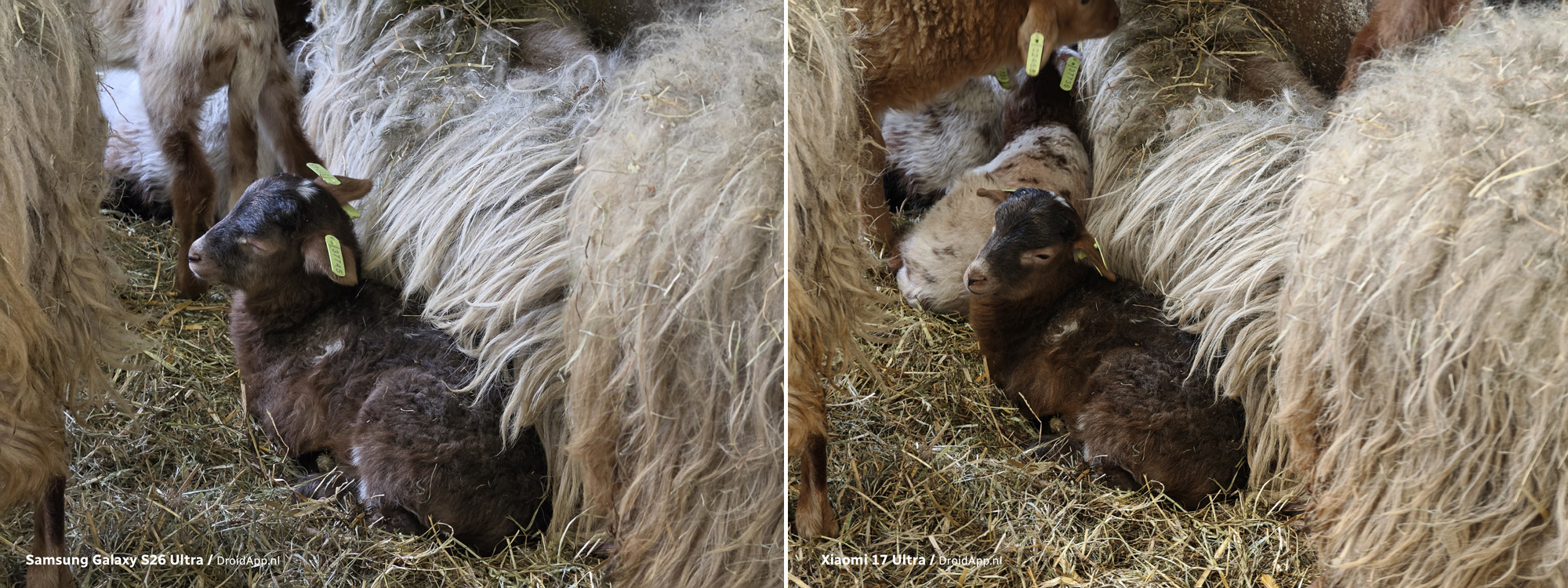 Samsung Galaxy S26 Ultra - Xiaomi 17 Ultra vergelijking 5x zoom
