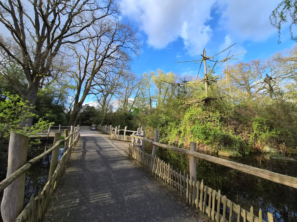 Samsung Galaxy S26 sample