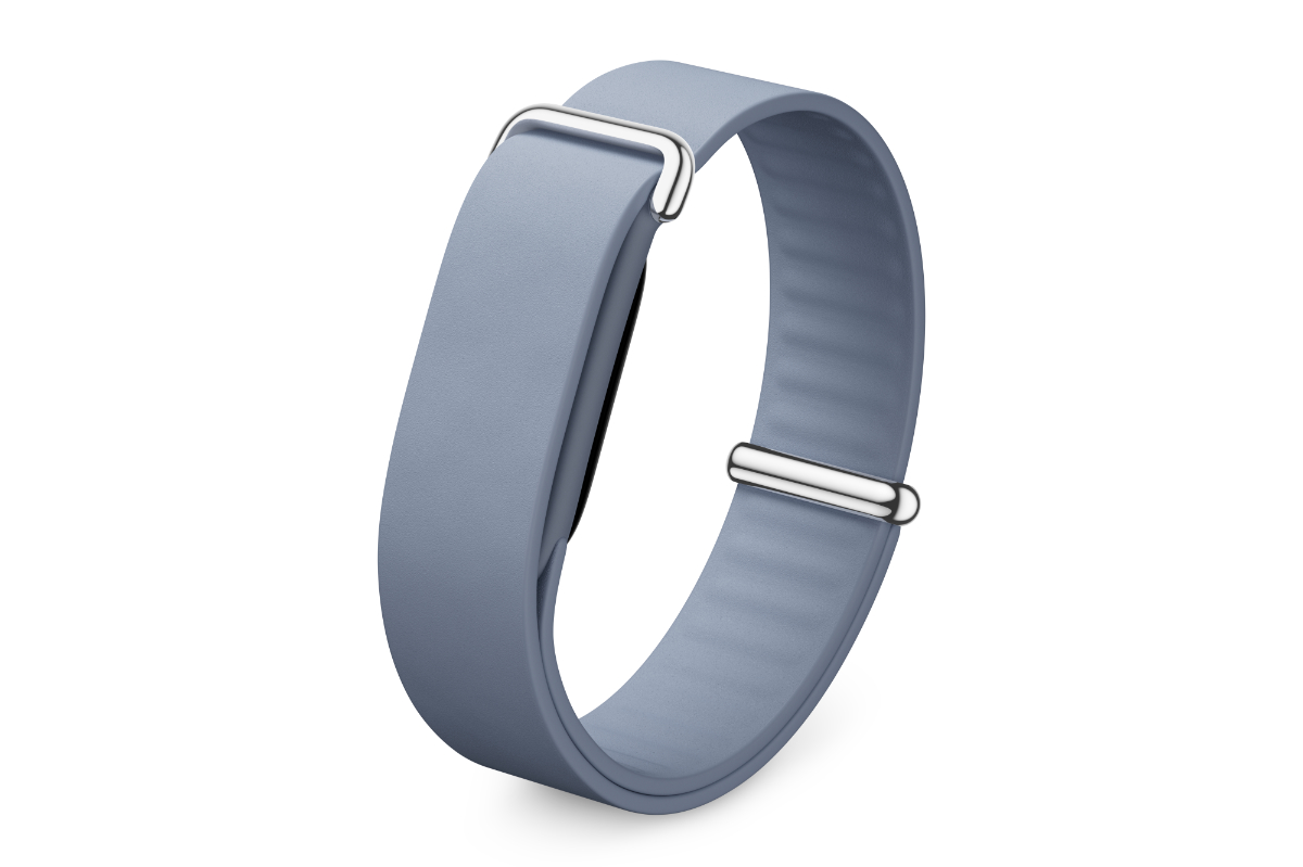 Fitbit Air