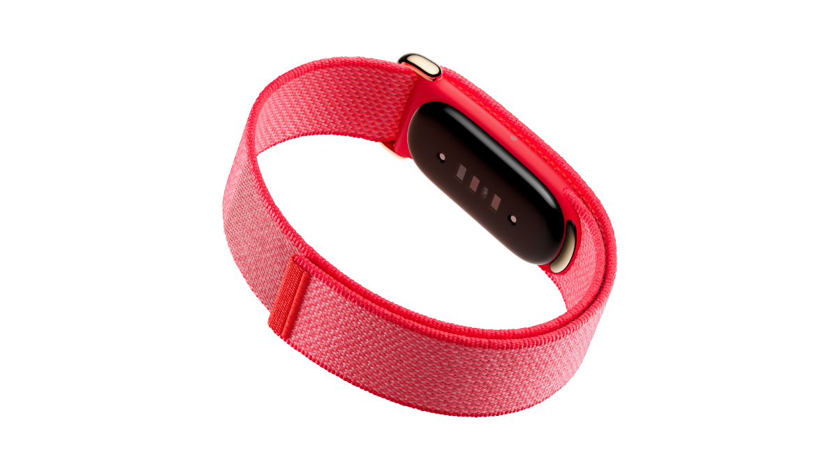 Fitbit Air