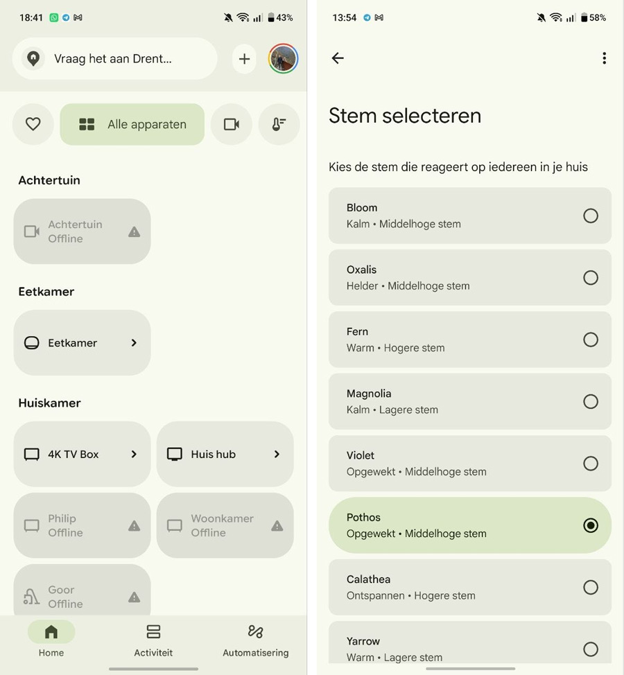 Google Home app 
